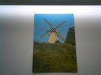 KASTERLEE: Berenmolen, Verzamelen, Postkaarten | België, Ophalen of Verzenden, 1980 tot heden, Ongelopen, Antwerpen