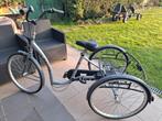 Tricycle, Fietsen en Brommers, Fietsen | Driewielfietsen, Ophalen, Gebruikt