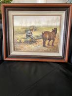 Schilderij Louis Raymaekers - Knol op het veld, Antiek en Kunst, Kunst | Schilderijen | Klassiek, Ophalen