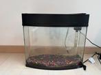 Aquarium 18.5l, Dieren en Toebehoren, Ophalen, Zo goed als nieuw
