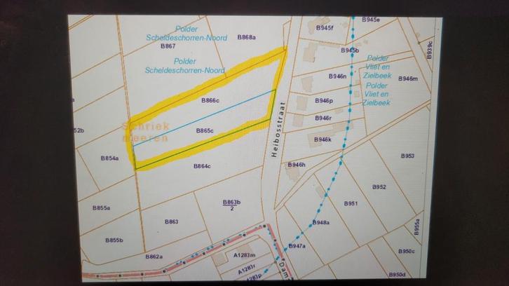 Weide weiland te koop Buggenhout Puurs-Sint-Amands, Animaux & Accessoires, Box & Pâturages