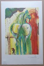 SALVADOR DALI / CHEVAUX DE DALI / KLEURLITHO / 56x36cm 1983, Antiek en Kunst, Kunst | Litho's en Zeefdrukken, Ophalen of Verzenden