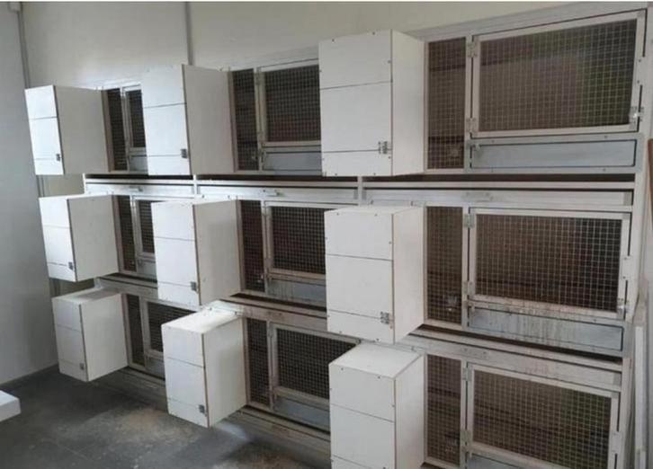 9 KWEEKKOOIEN ( 1 WAND !! ) ., Dieren en Toebehoren, Vogels | Hokken en Kooien, Zo goed als nieuw, Ophalen