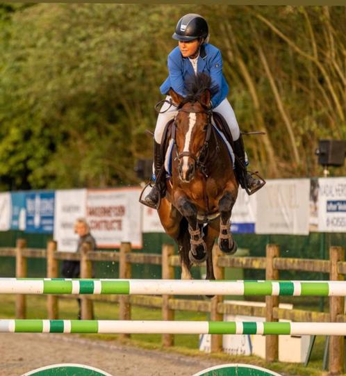 Ruiter voor jou paarden, Dieren en Toebehoren, Paarden en Pony's | Verzorgingsproducten, Zo goed als nieuw, Ophalen