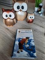 Mary shelley - victor frankenstein, Boeken, Ophalen of Verzenden, Zo goed als nieuw