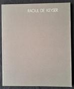 Raoul De Keyser Van Doorne Veerle, Grafische vormgeving, Van Doorne, Veerle, Ophalen of Verzenden, Zo goed als nieuw