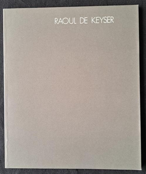 Raoul De Keyser Van Doorne Veerle, Livres, Art & Culture | Arts plastiques, Comme neuf, Design graphique, Enlèvement ou Envoi