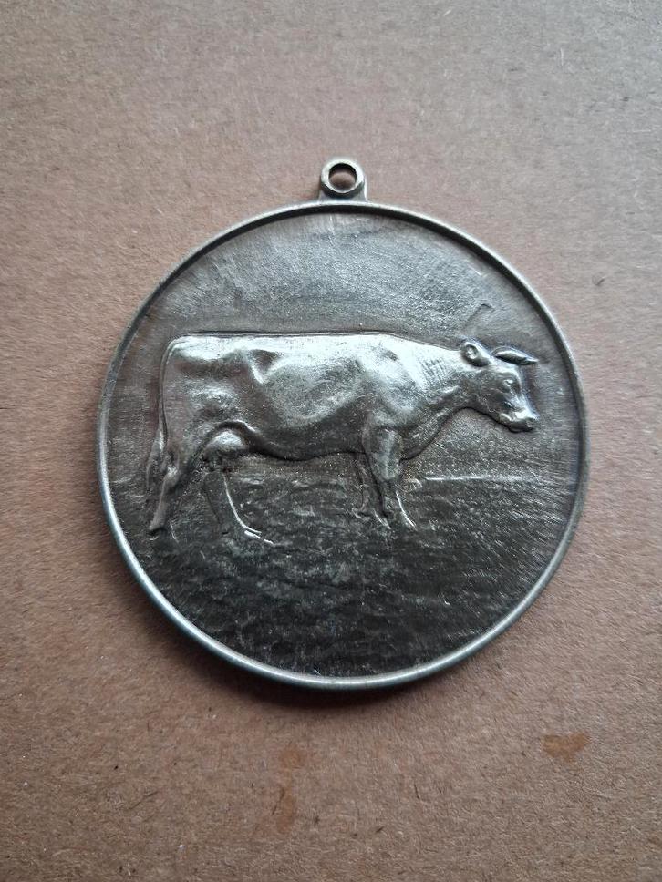 zeer oude medaille koe west vlaanderen...., Animaux & Accessoires, Bovins, Sexe inconnu
