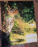 Diamond paintings gemaakt, Ophalen, Gebruikt, Overige typen