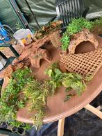 Terrarium deco, Dieren en Toebehoren, Reptielen en Amfibieën