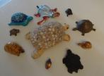 Collectie 11,  10 schildpadden, Ophalen of Verzenden, Gebruikt, Reptiel of Amfibie