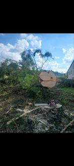 Abattage, élagage, grappin sécateur, Enlèvement