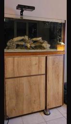 Aquarium récifal 350l +décante 90l + pierres vivantes, Animaux & Accessoires, Enlèvement