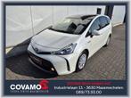 Toyota Prius+ Comfort, Auto's, Toyota, Automaat, Monovolume, Wit, Parkeersensor