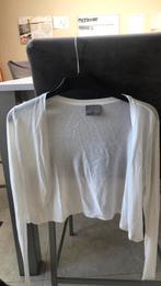 Kort truitje voor op jurkje, Kleding | Dames, Maat 38/40 (M), Vero moda, Wit, Ophalen of Verzenden