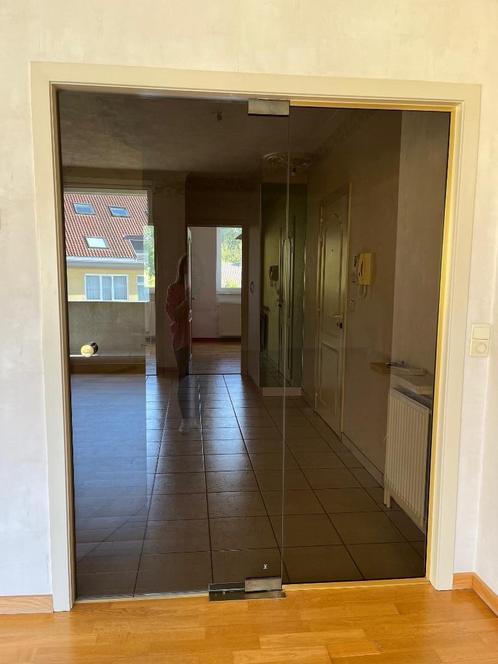 Glazen deur + vaste deel, Huis en Inrichting, Overige Huis en Inrichting, Gebruikt, Ophalen