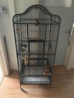 Vogelkooi, Dieren en Toebehoren, Ophalen, Gebruikt, Metaal, Vogelkooi
