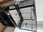Cage oiseaux nouveau acheter 4 jour, Animaux & Accessoires, Animaux Autre