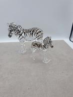 Swarovski SCS 2021 Zebra Amai met veulen., Enlèvement ou Envoi