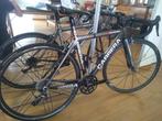 Carrera Veleno RS Carbon Ultegra taille S, Fietsen en Brommers, 28 inch, Carbon, 49 tot 53 cm, Ophalen of Verzenden