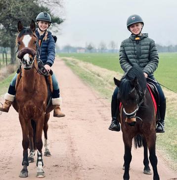 Lieve arrabier te koop  beschikbaar voor biedingen
