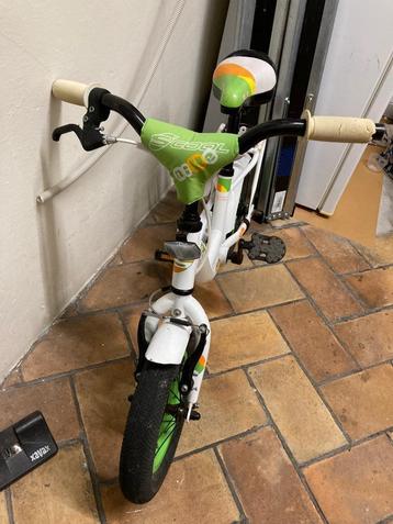 Kinderfiets huis Degryse verlaagd in prijs! beschikbaar voor biedingen