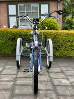 Electrische driewielfiets TEI-BIKE Flash driewiel Nieuwstaat, Fietsen en Brommers, Overige merken, Ophalen of Verzenden, 50 km per accu of meer