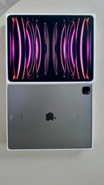 Ipad Pro 13 Inch 256 gb, Computers en Software, Apple iPads, Ophalen, 13 inch of meer, Zwart, Zo goed als nieuw