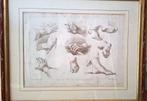 18eeuwse gravure door Francesco Bartlozzi Handen en voeten, Antiek en Kunst, Kunst | Etsen en Gravures, Verzenden