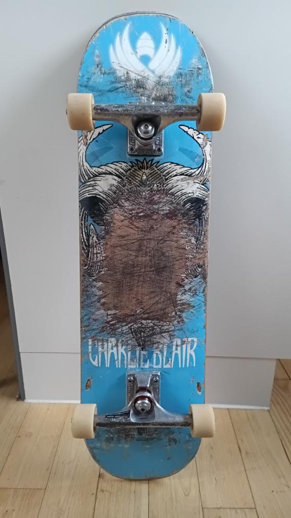 Skateboard 8.25; Powell, Spitfire, Slappy, Thunder, Bones, Sport en Fitness, Skateboarden, Gebruikt, Skateboard, Ophalen