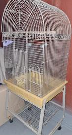 Cage perroquet, Enlèvement, Utilisé, Cage à oiseaux