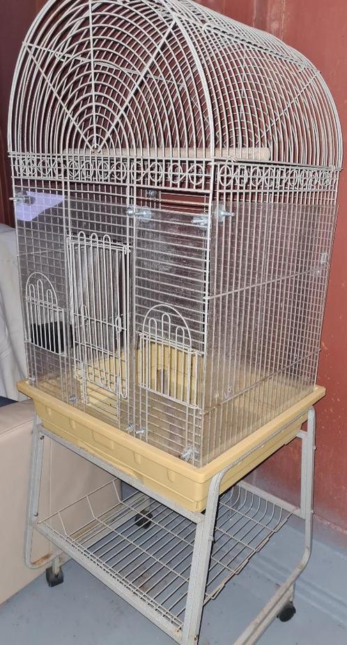 Cage perroquet, Animaux & Accessoires, Oiseaux | Cages & Volières, Utilisé, Cage à oiseaux, Enlèvement