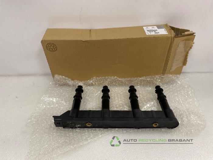 Bobine d'un Peugeot 307, -, 3 mois de garantie, Utilisé, -