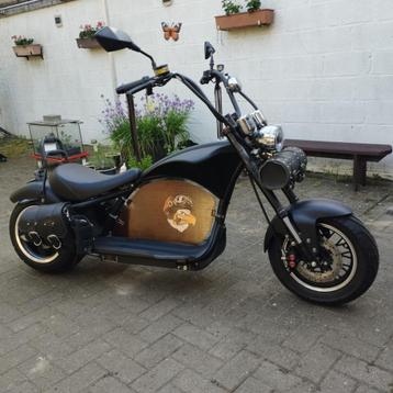 electrische chopper mangosteen beschikbaar voor biedingen