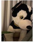 Valentijn, Enlèvement