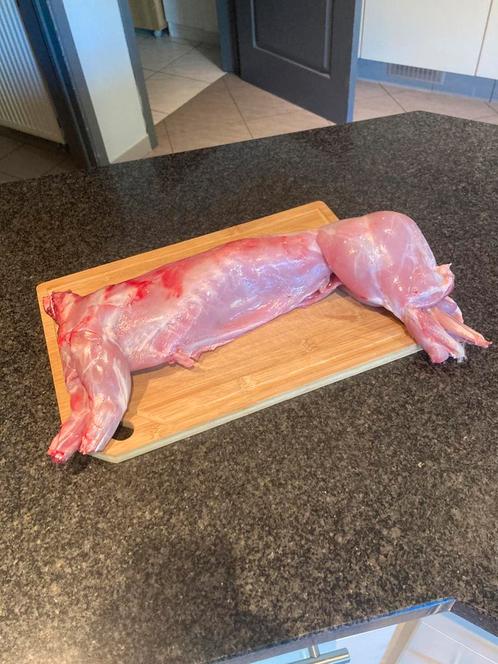 Konijn geslacht, Dieren en Toebehoren, Konijnen