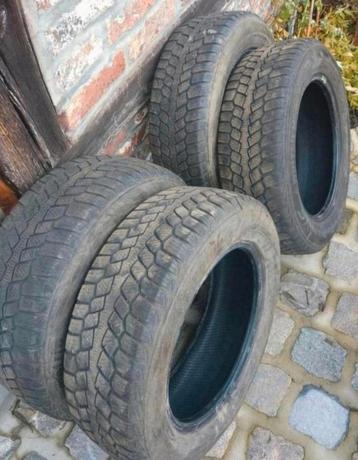 Winterband  beschikbaar voor biedingen