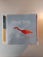 Cd. Velvet Belly. The Landing., Cd's en Dvd's, Cd's | Overige Cd's, Ophalen of Verzenden, Zo goed als nieuw