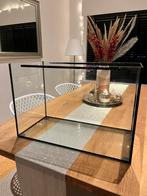 Aquarium, Dieren en Toebehoren, Vissen | Aquariumvissen, Vis