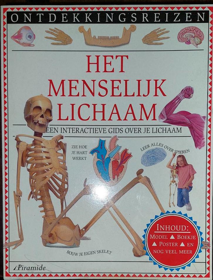Educatieve set “Het Menselijk Lichaam – Piramide NIEUW, Hobby en Vrije tijd, Gezelschapsspellen | Overige, Nieuw, Ophalen of Verzenden