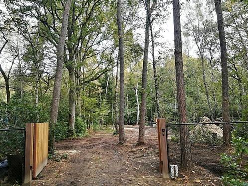 Recherché : Prairie/Forêt à louer Emplacement pour caravane, Immo, Maisons à louer