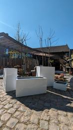 Moderne Plantenbakken, Tuin en Terras, Ophalen, Kunststof, Gebruikt, 60 cm of meer