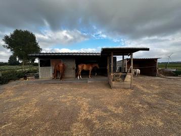 Weide te koop beschikbaar voor biedingen