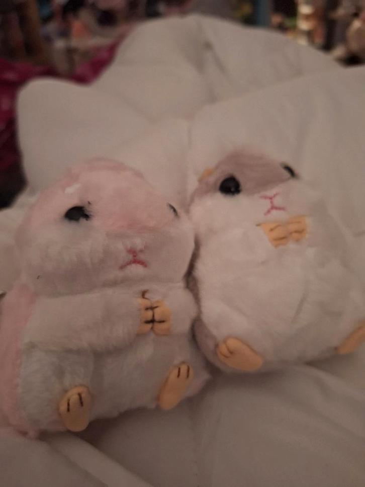 Te huur zemst en deelgemeenten, Immo, Huizen te huur, Mechelen, Vrijstaande woning, Direct bij eigenaar, A+