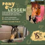 Pony lessen in Hoogstraten, Vermifugé, Poney de récréation, Jument, Ne s'applique pas