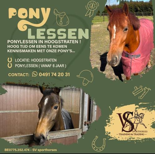 Pony lessen in Hoogstraten, Animaux & Accessoires, Poneys, Jument, Ne s'applique pas, Poney D (1.37 m à 1.48m), Poney de récréation