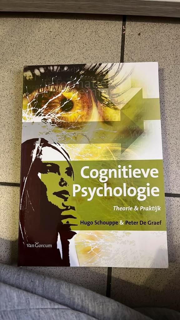 H. Schouppe - Cognitieve psychologie, Livres, Psychologie, Psychologie cognitive, Enlèvement ou Envoi