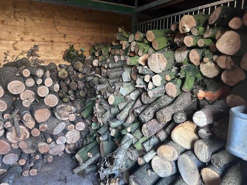 Luchtgedroogd Eiken- en Beukenhout  – Direct Beschikbaar, Tuin en Terras, Brandhout, Blokken, Beukenhout, 6 m³ of meer, Ophalen