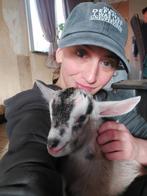 Boerin zoekt werk., Vacatures, Vacatures | Landbouw, Natuur en Milieu