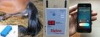Te huur - Sigloo birth alarm / foaling alarm /geboortemelder, Ophalen